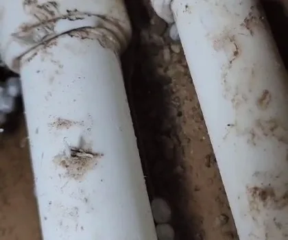 EN YAKIN SU TESİSATÇISI