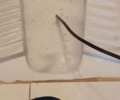 UZMAN SU TESİSATÇISI