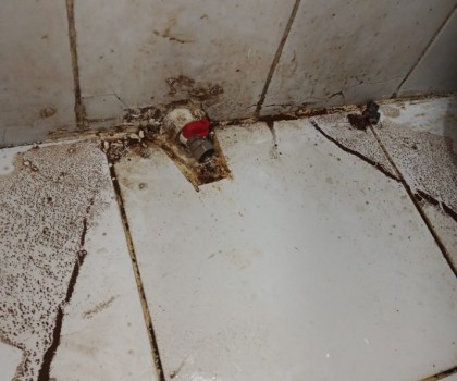 Uzman Su Tesisatçısı 85