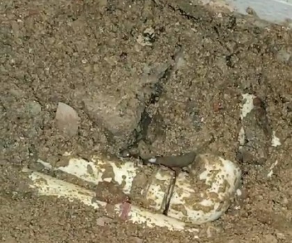 ABDURRAHMAN NAFİZ GÜRMAN SU TESİSATÇISI