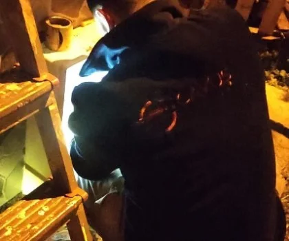 YENİ MAHALLE SU TESİSATÇISI