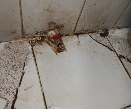 LEVENT SU KAÇAĞI TESPİTİ