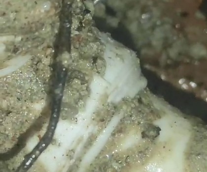 CERRAHPAŞA SU KAÇAĞI TESPİTİ