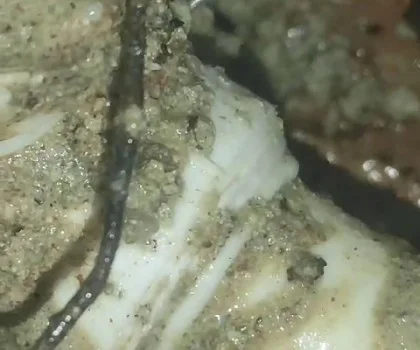 SU KAÇAK TESPİTİ VİDEO