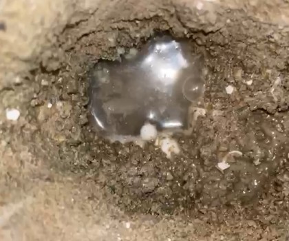 SU TESİSATÇISI VİDEO