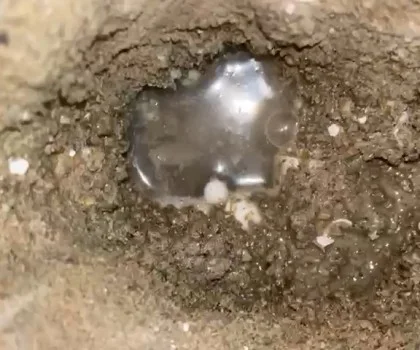 SU TESİSATÇISI VİDEO