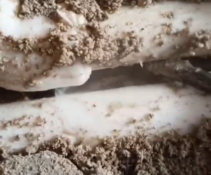 SU TESİSATÇISI VİDEO