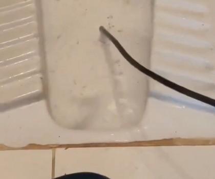 SU TESİSATÇISI VİDEO